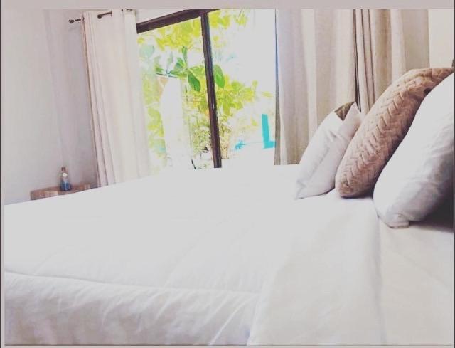 Sambo Mambo Beach Hotel エル・クコ エクステリア 写真