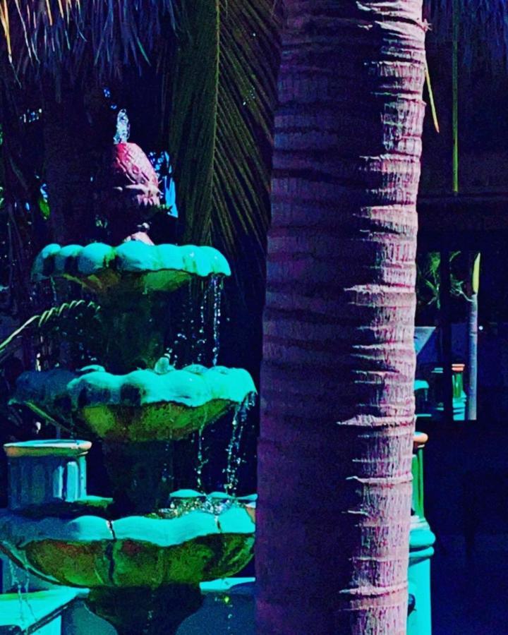 Sambo Mambo Beach Hotel エル・クコ エクステリア 写真